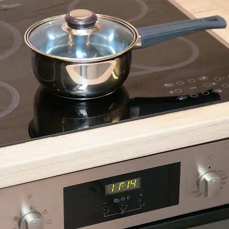 Apartment Wildbachhof Zell am See