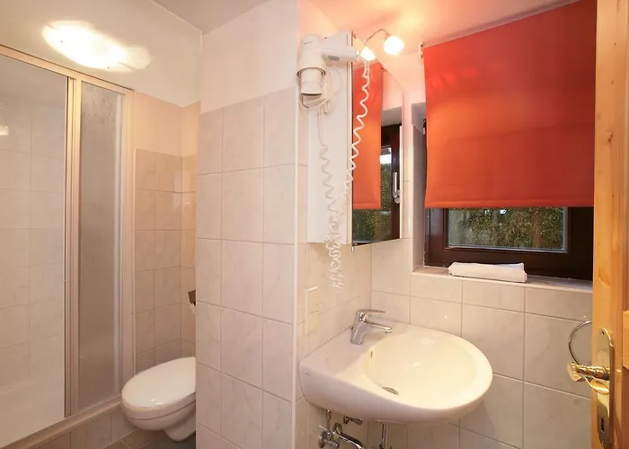 Apartment Wildbachhof